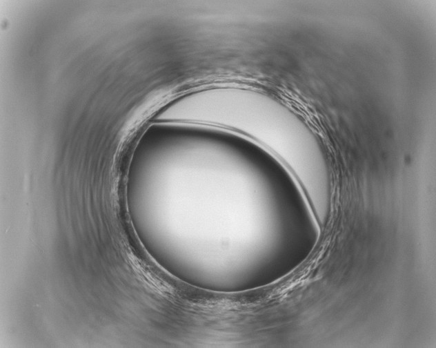 X0000088020197200705110734