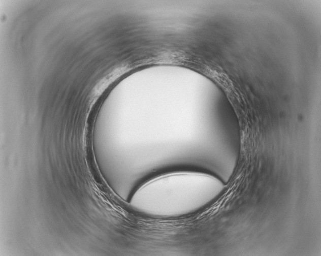 X0000088020292200705110732
