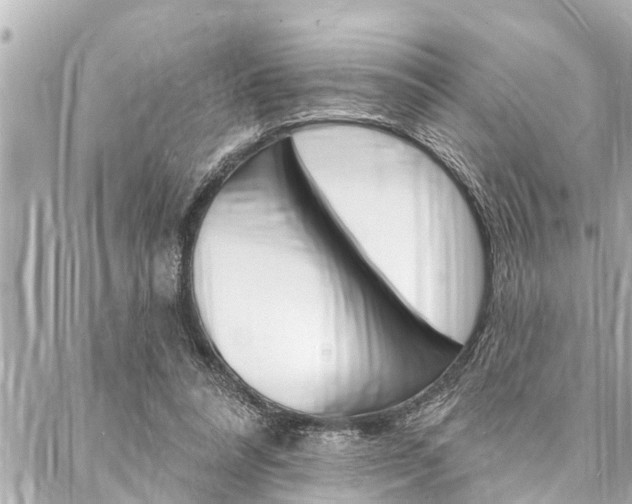 X0000088020304200705110732