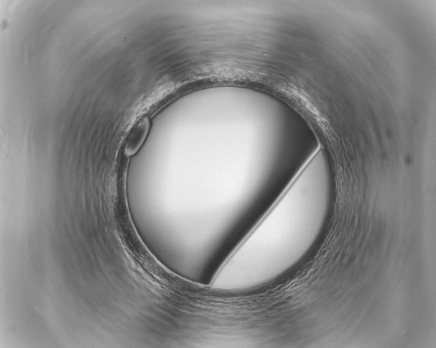 X0000088020488200705110729