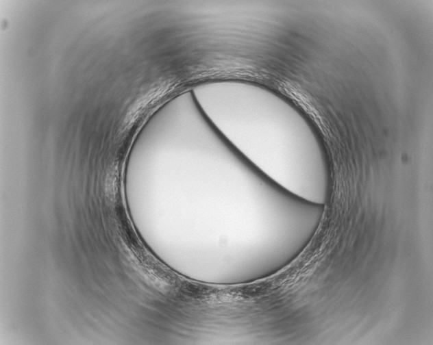 X0000088020586200705110727
