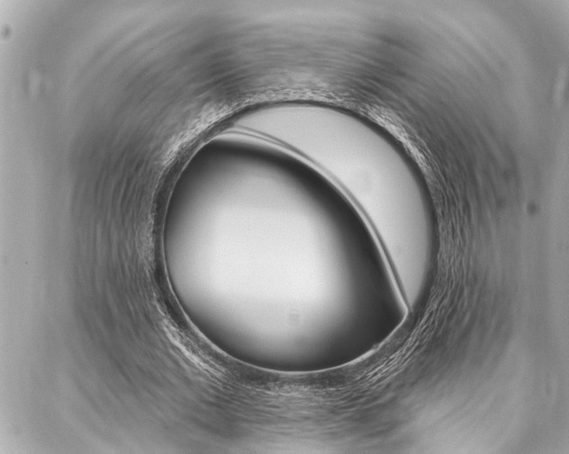 X0000088020677200705110726