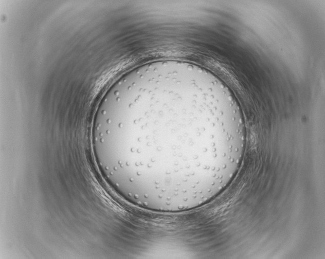 X0000088020725200705110724