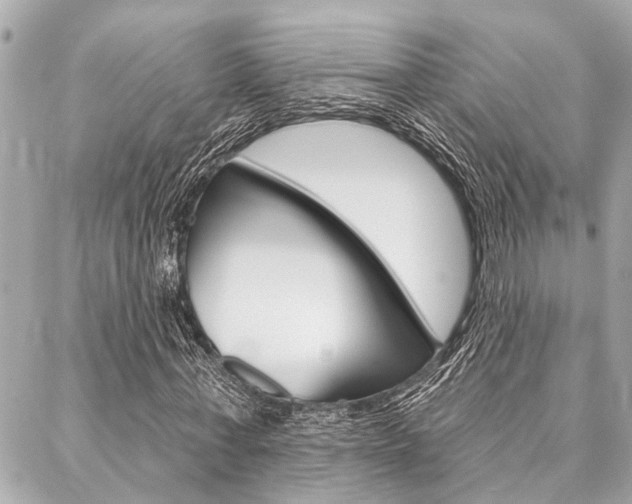 X0000088020771200705110724