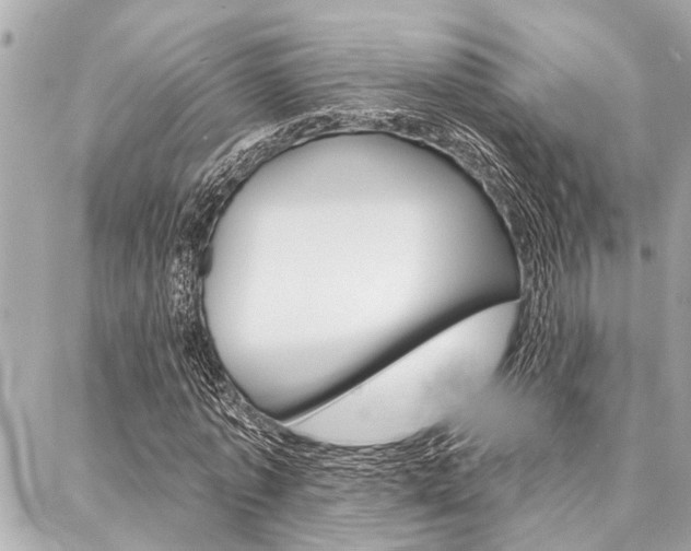 X0000088020773200705110724