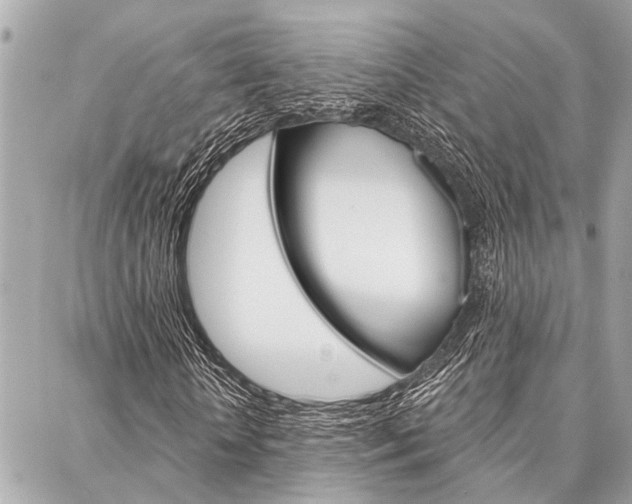 X0000088020818200705110723