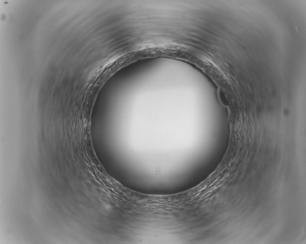 X0000088020822200705110723