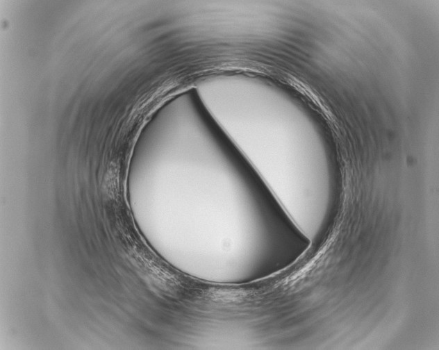 X0000088020825200705110723