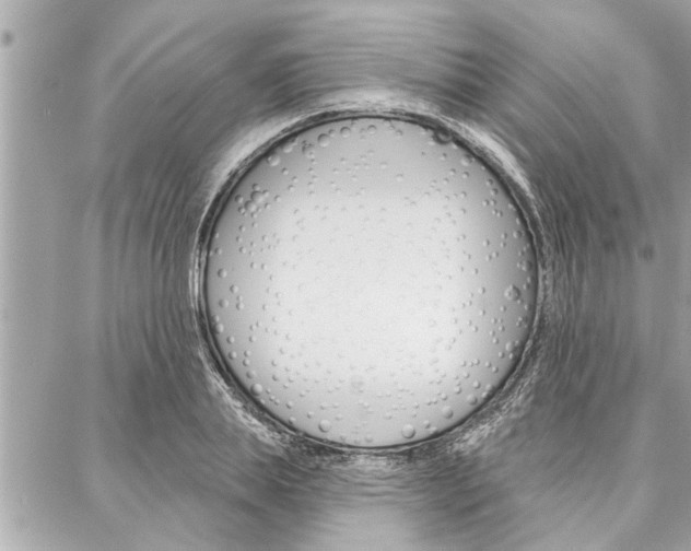 X0000088020839200705110723