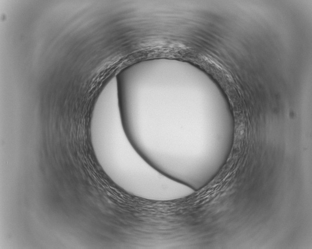 X0000088020869200705110723