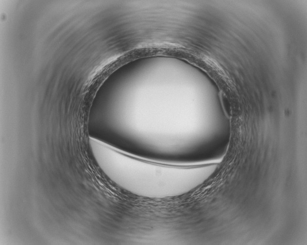 X0000088020872200705110723