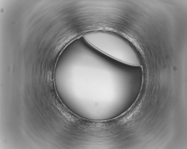 X0000088020881200705110722
