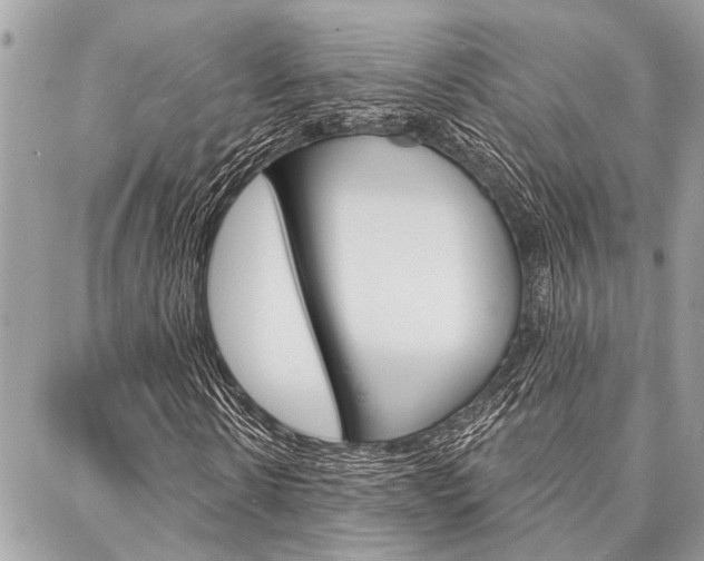 X0000088020914200705110721