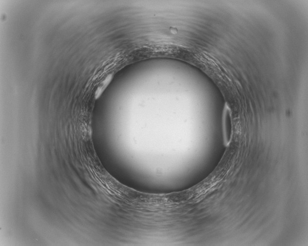 X0000088020916200705110721
