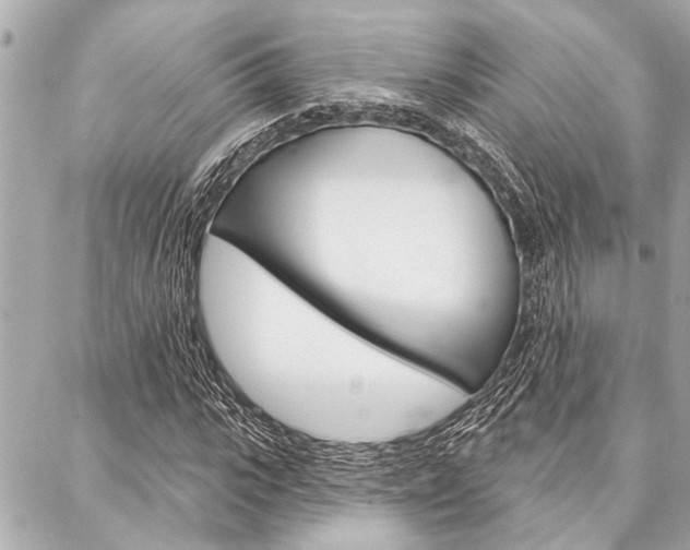 X0000088020919200705110721