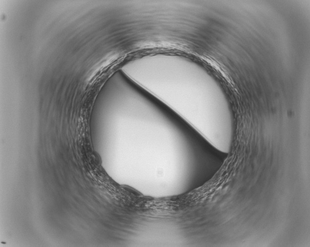 X0000088020967200705110721
