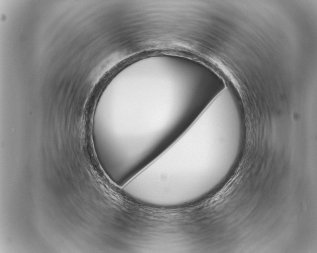 X0000088020975200705110721