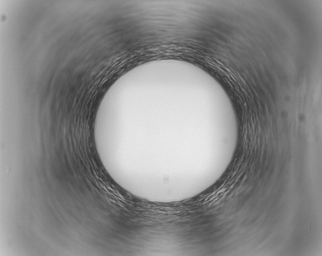 X0000088021010200705110720