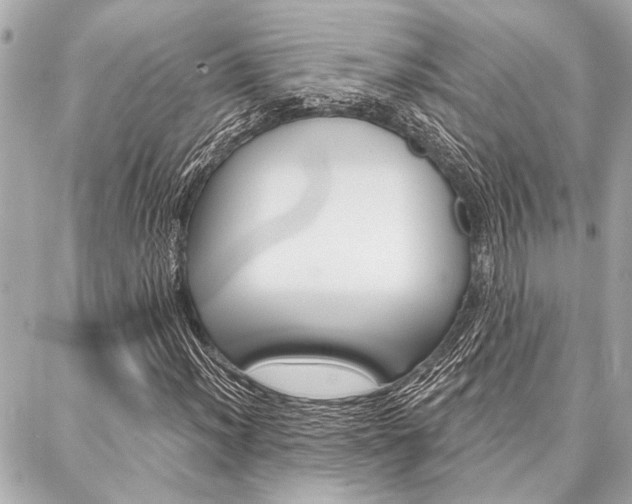 X0000088021012200705110720