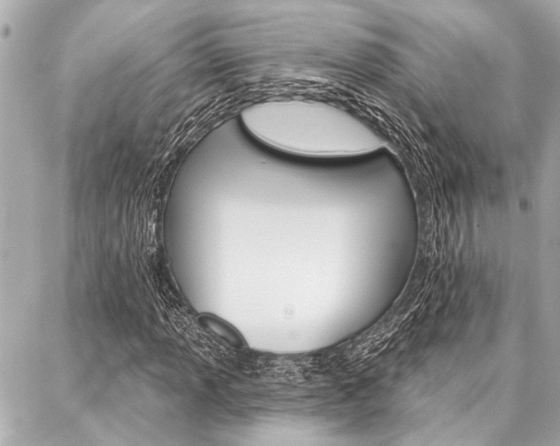 X0000088021013200705110720