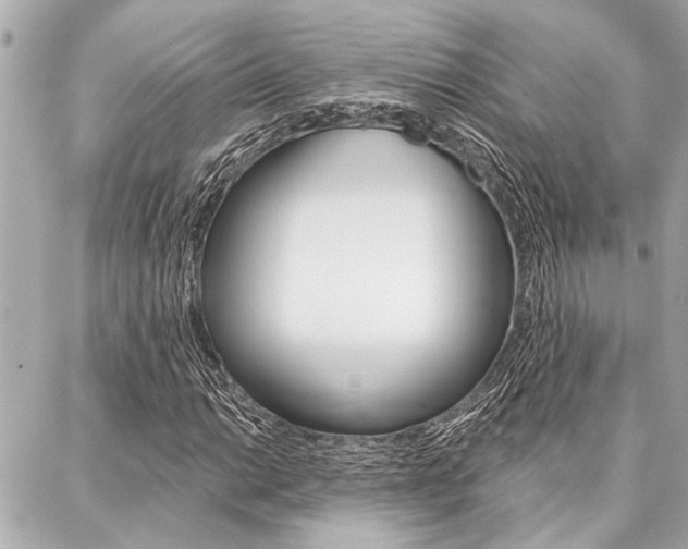 X0000088021014200705110720