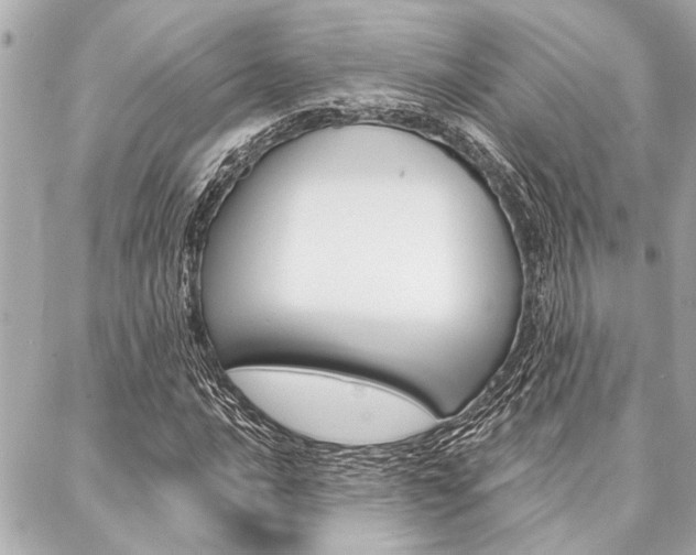 X0000088021016200705110720