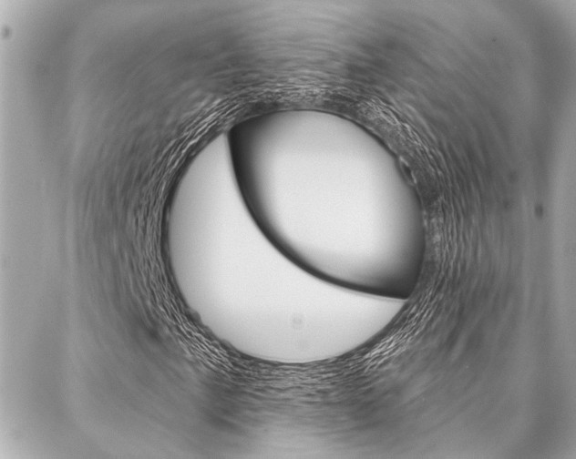 X0000088021057200705110720