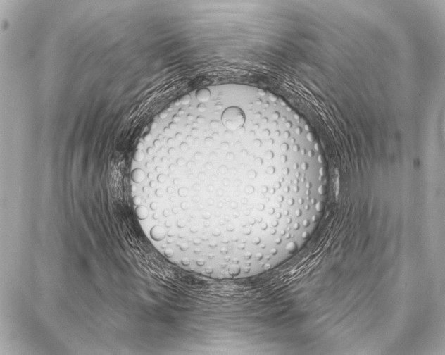 X0000088021059200705110720