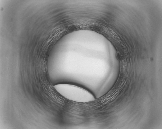 X0000088021060200705110720