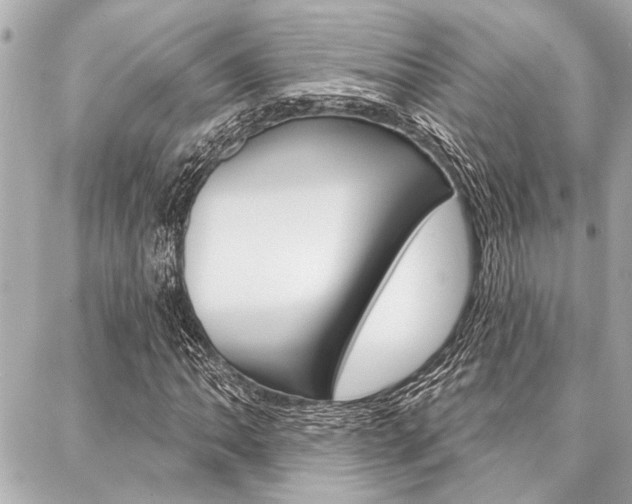 X0000088021062200705110720