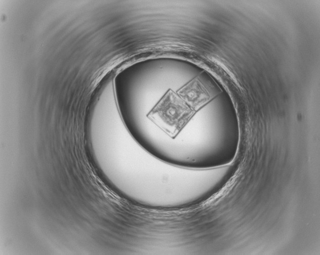 X0000088021065200705110719
