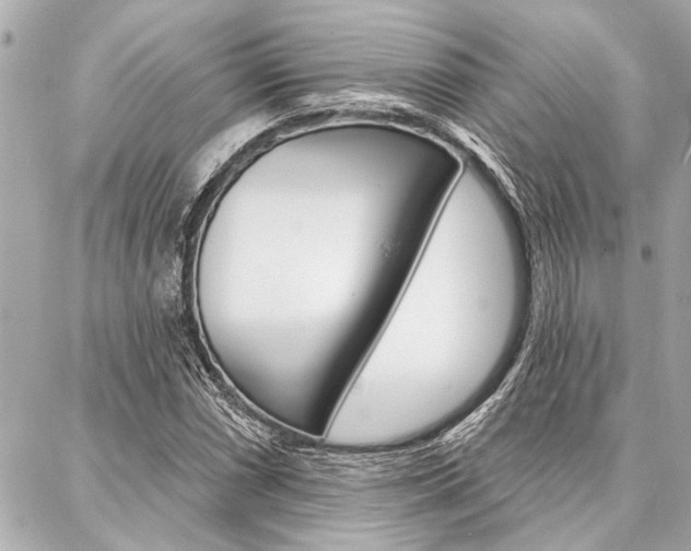 X0000088021066200705110719