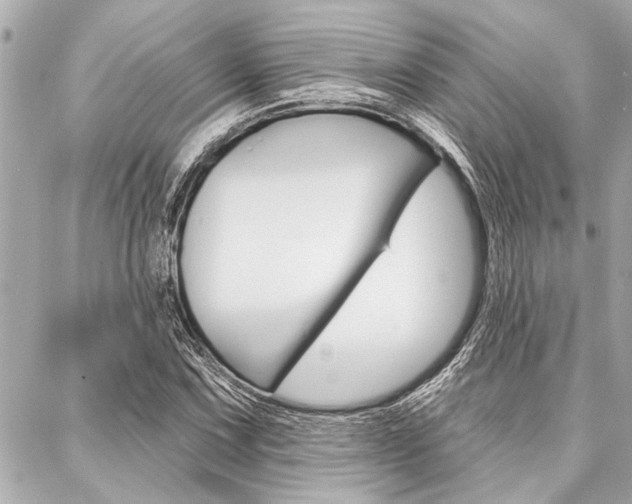 X0000088021067200705110719