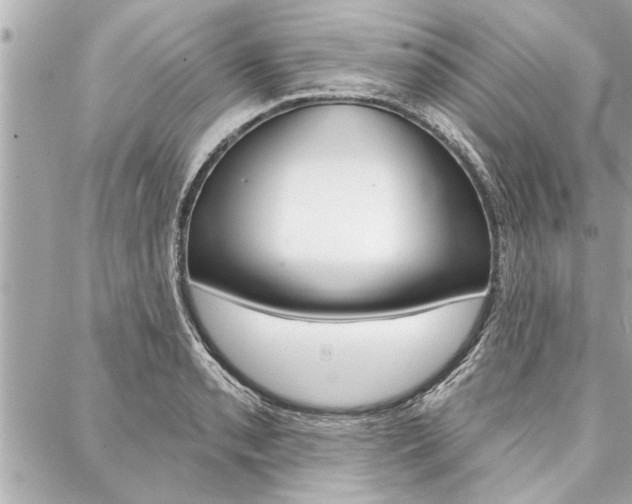 X0000088021085200705110719