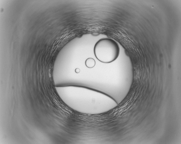 X0000088021106200705110718