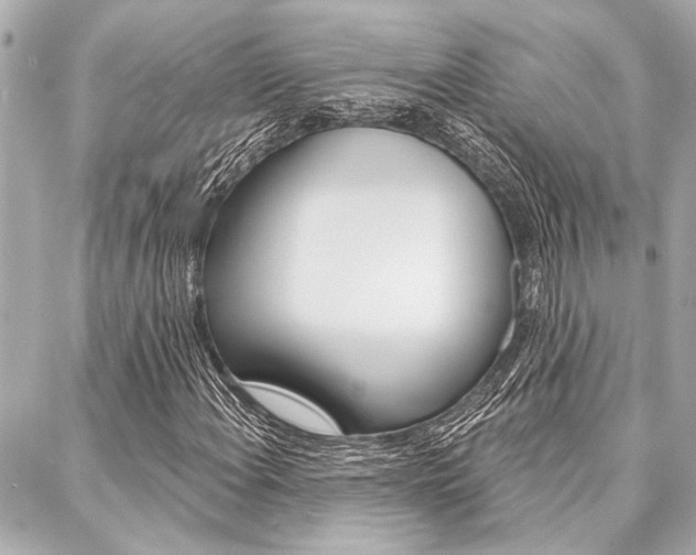 X0000088021108200705110718