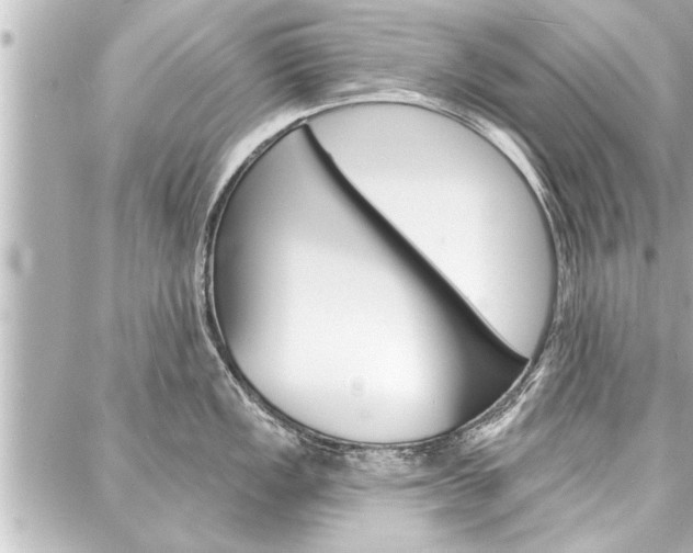 X0000088021149200705110719