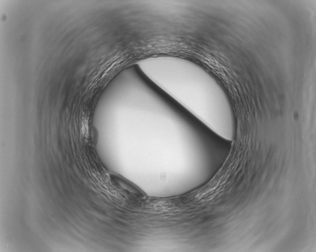 X0000088021155200705110718