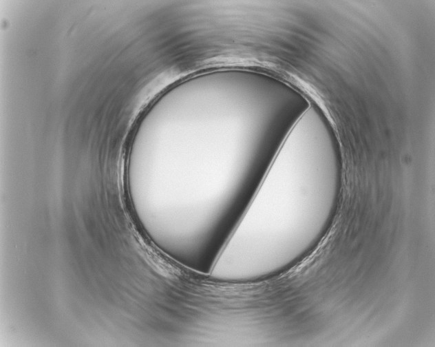 X0000088021179200705110718