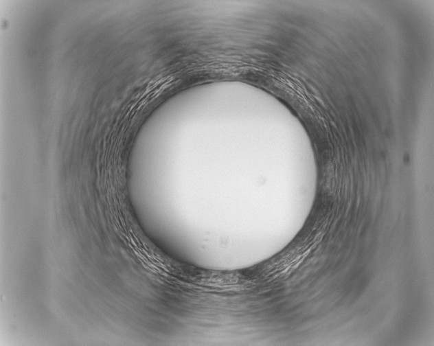 X0000088021201200705110717