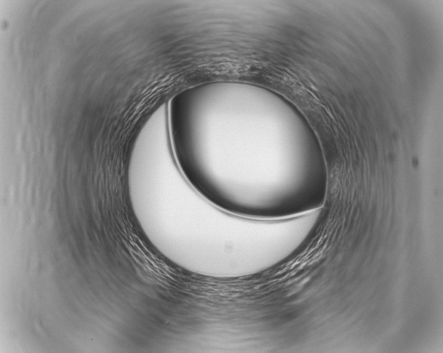 X0000088021202200705110717