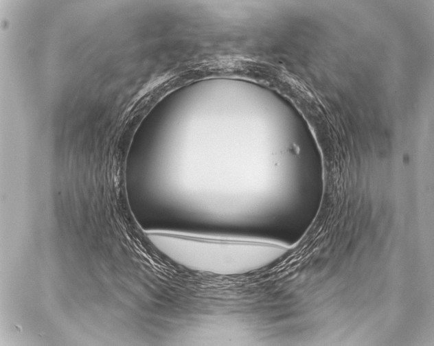 X0000088021206200705110717