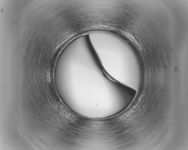 X0000088021209200705110717