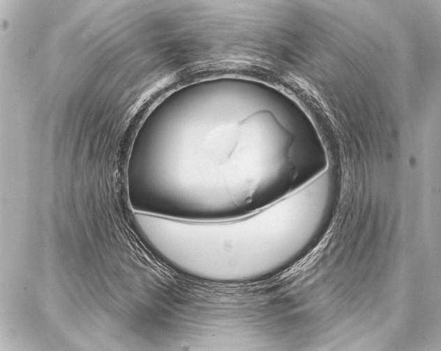 X0000088021210200705110717