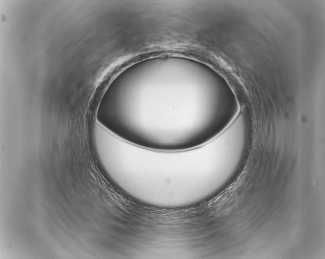 X0000088021214200705110717