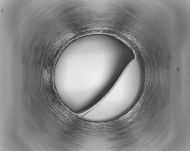 X0000088021257200705110716