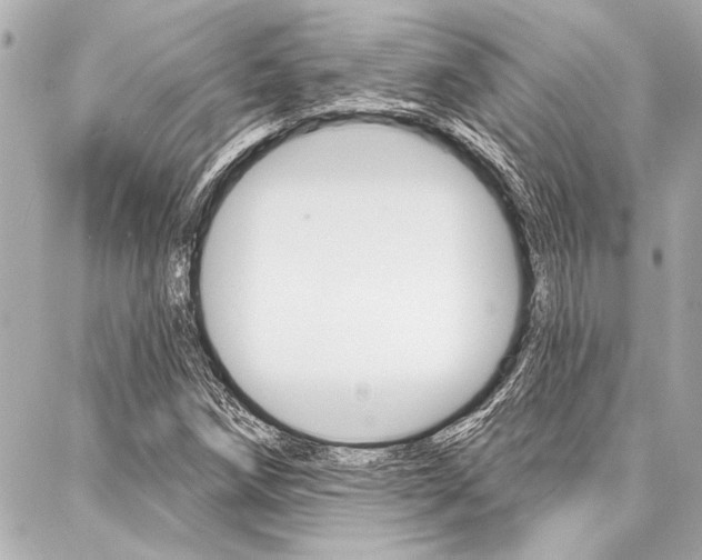 X0000088021258200705110716