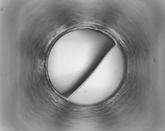 X0000088021260200705110716