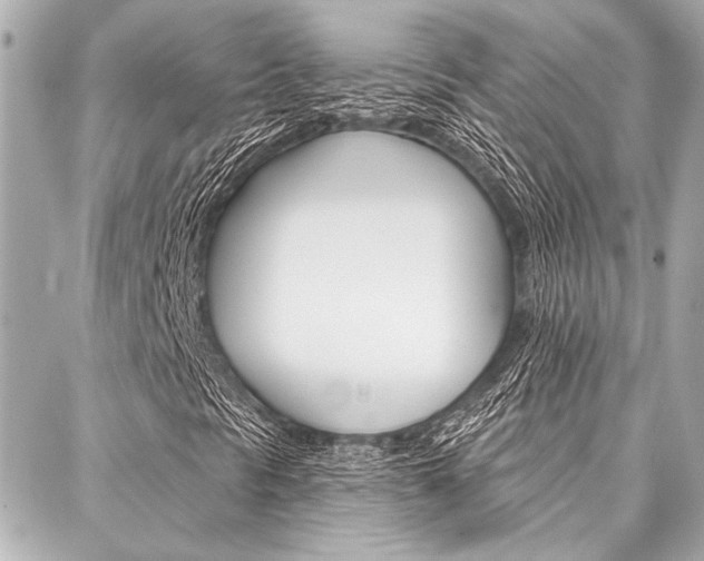 X0000088021297200705110715