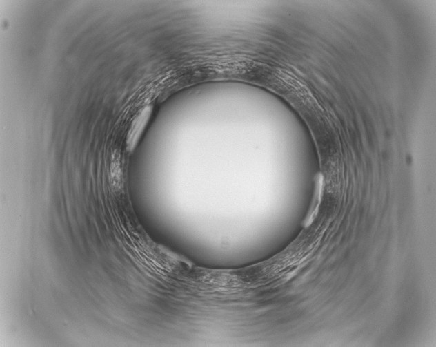 X0000088021298200705110715